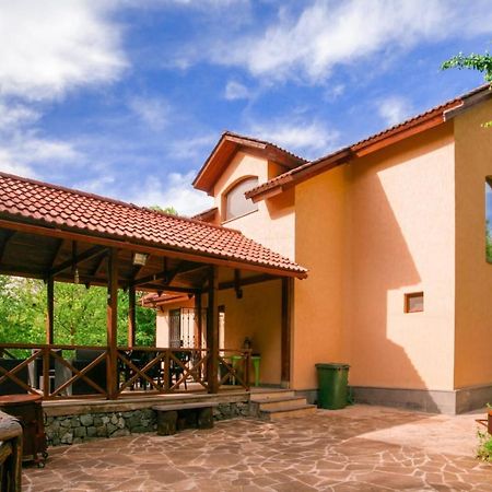 Dilijan Dream House! 3 Bedroom Amazing Villa In National Park! Exteriér fotografie